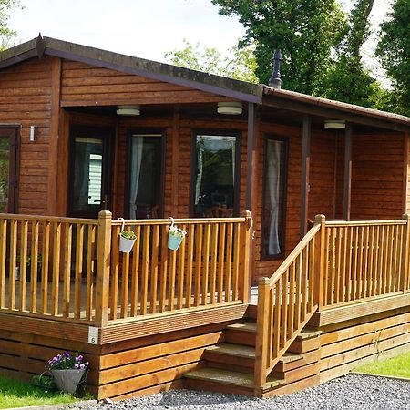 Roe Deer Lodge Нютън Стюарт Екстериор снимка